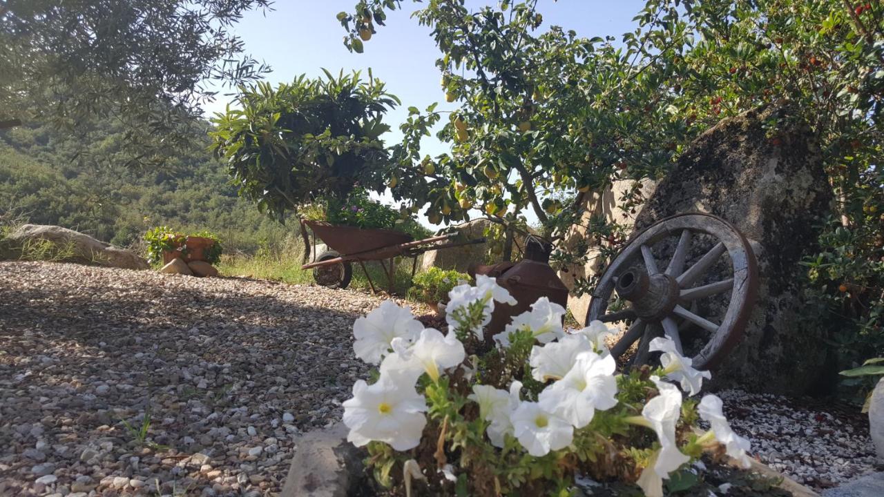 B&B Casa Vacanza Centro Sardegna Sorgono Eksteriør bilde
