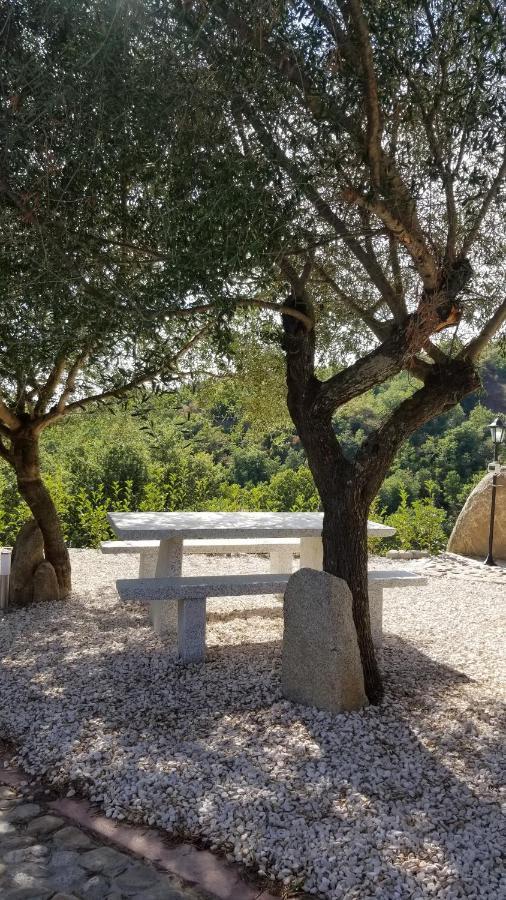 B&B Casa Vacanza Centro Sardegna Sorgono Eksteriør bilde