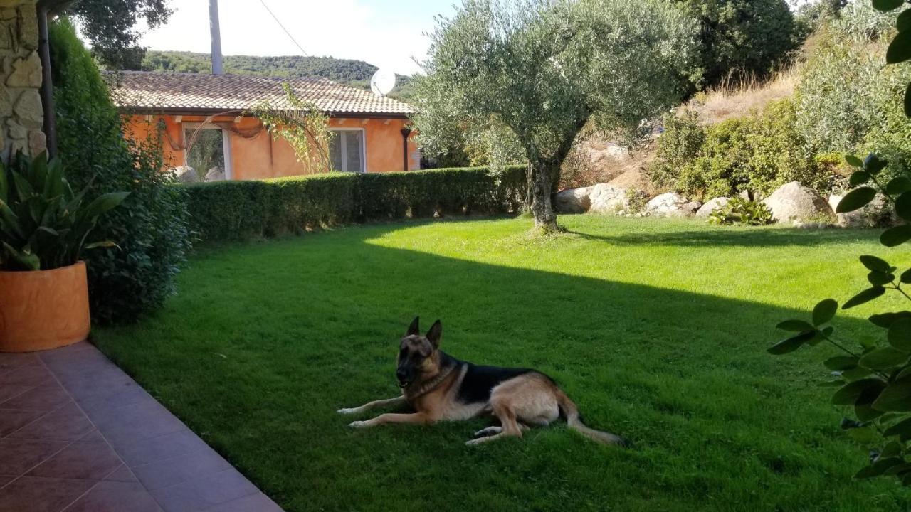 B&B Casa Vacanza Centro Sardegna Sorgono Eksteriør bilde